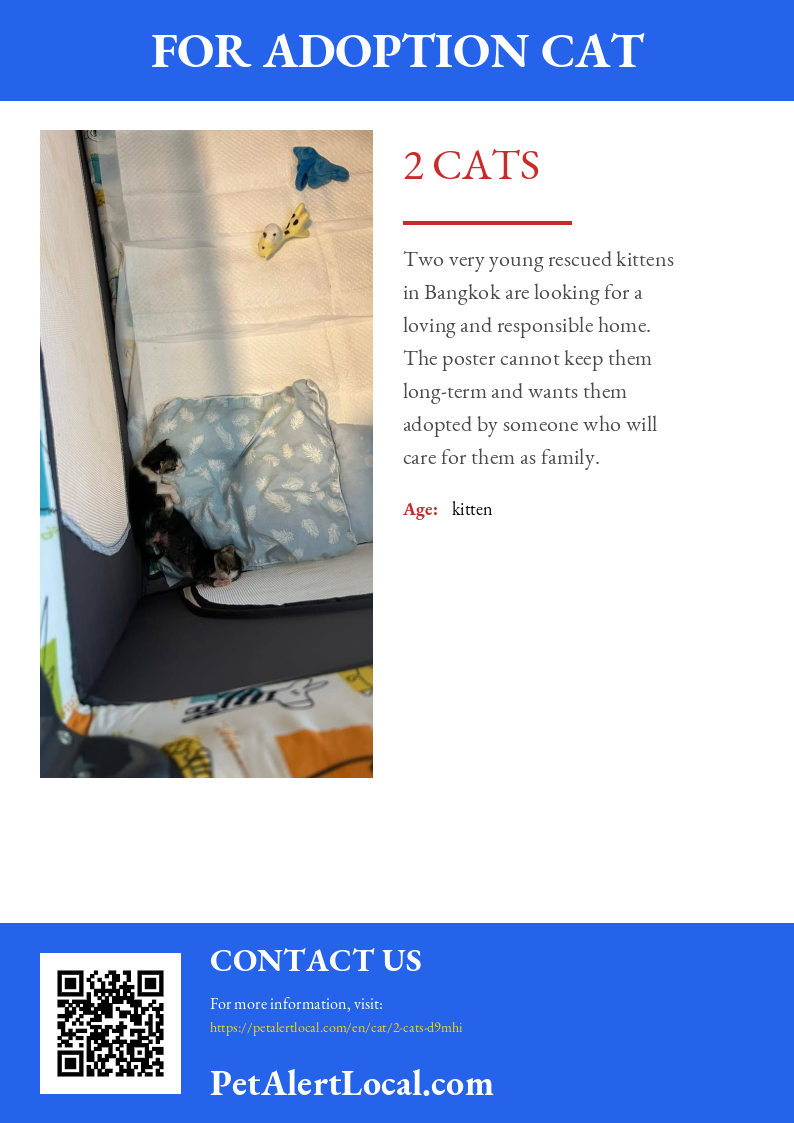 Poster for 2 Cats - Default