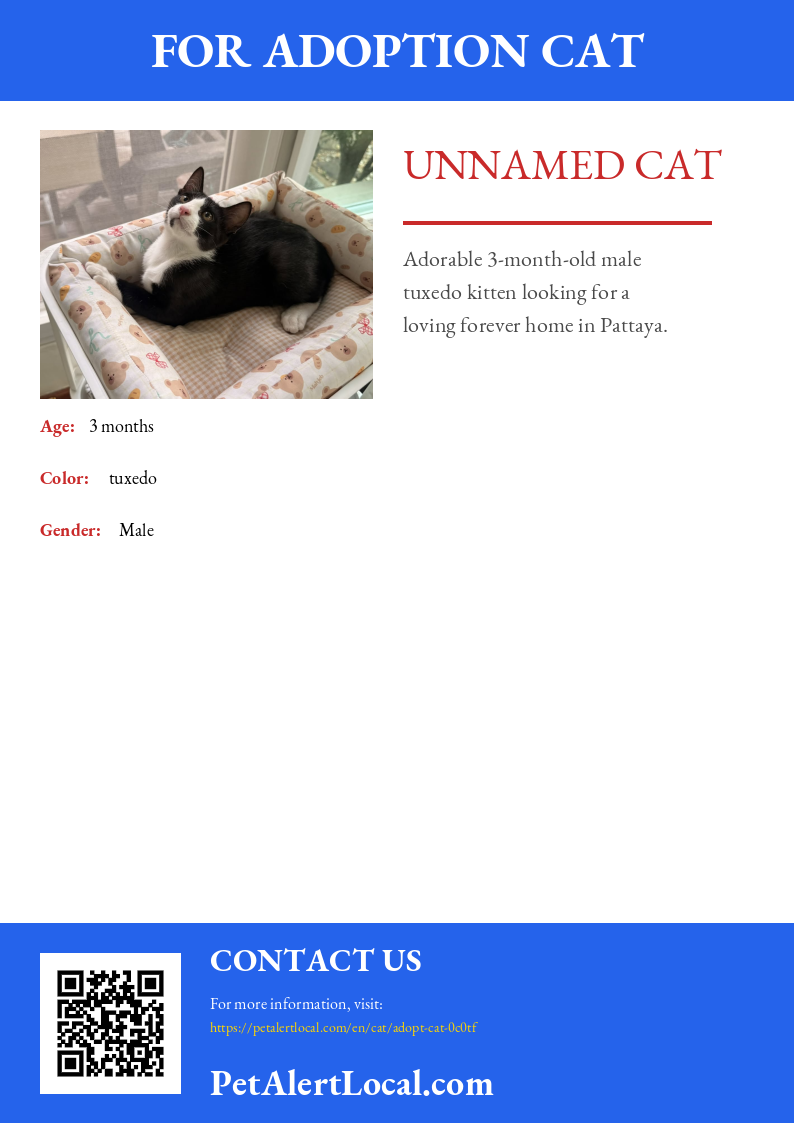 Poster for Unnamed Cat - Default