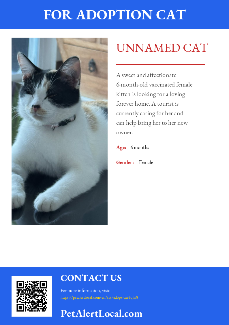 Poster for Unnamed Cat - Default