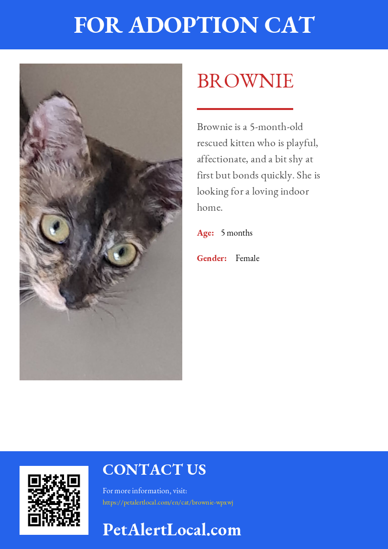 Poster for Brownie - Default