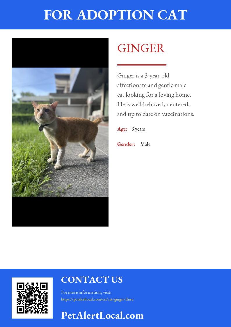 Poster for Ginger - Default
