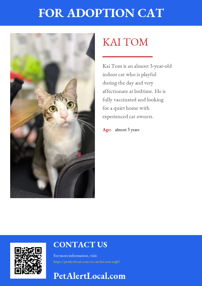 Poster for Kai Tom - Default