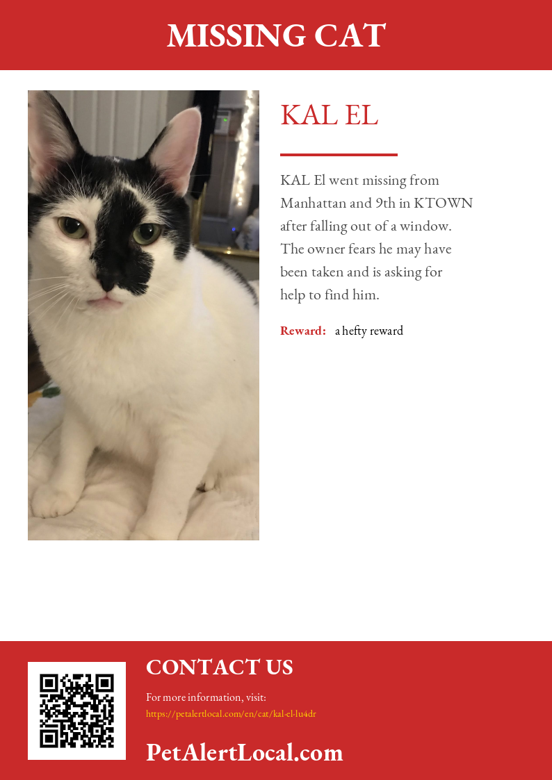 Poster for KAL El - Default