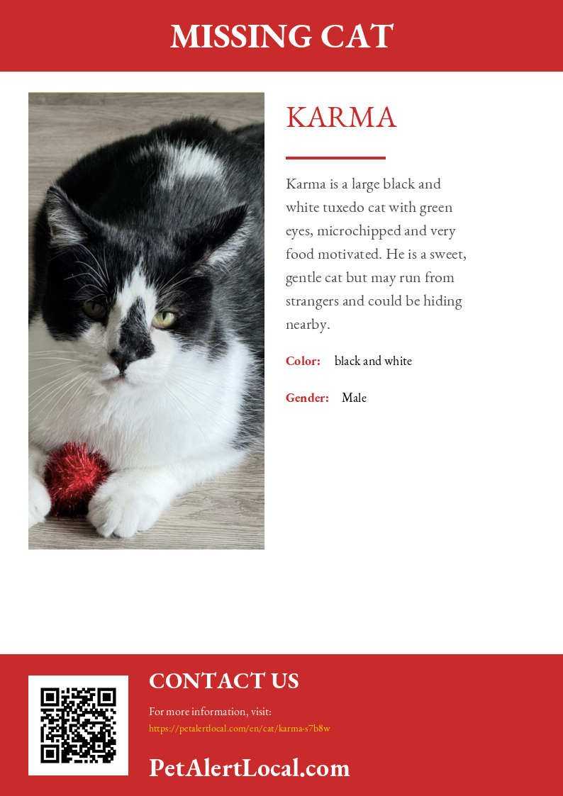 Poster for Karma - Default