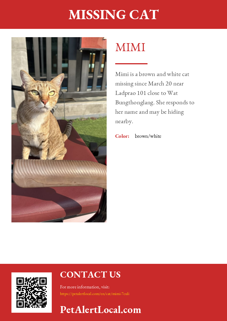 Poster for Mimi - Default