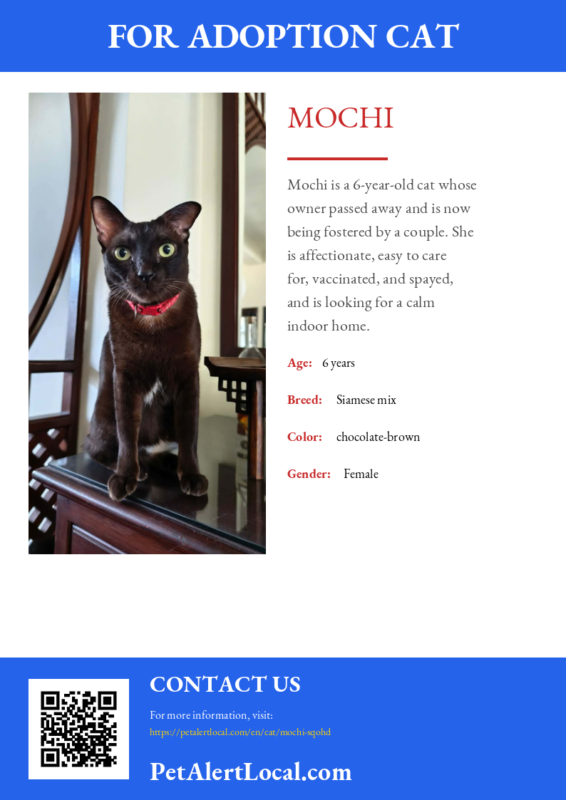 Poster for Mochi - Default