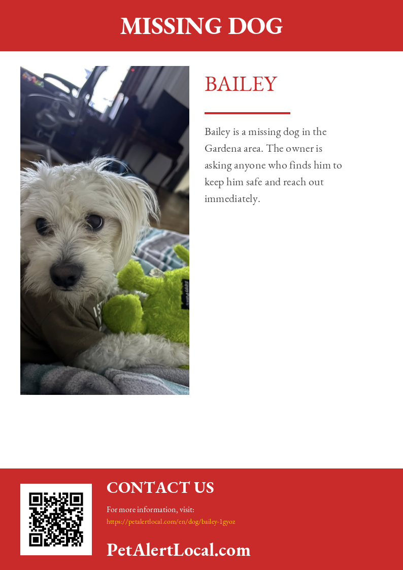 Poster preview for Bailey