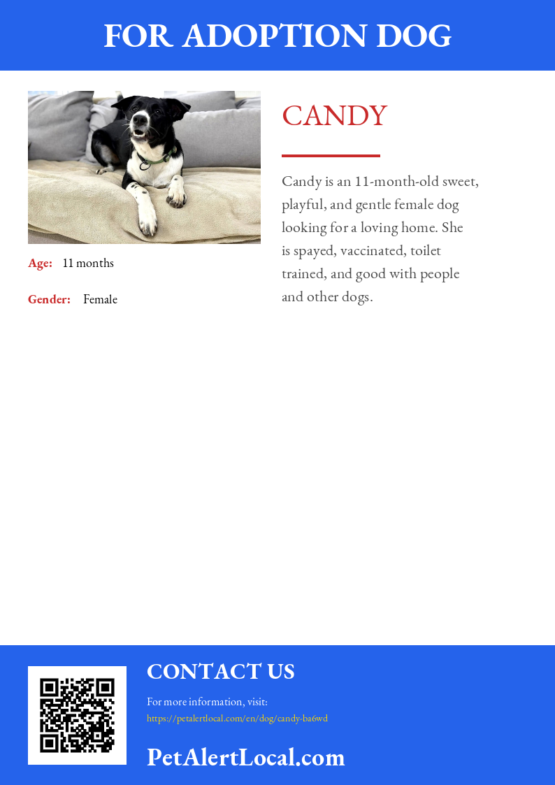 Poster preview for Candy