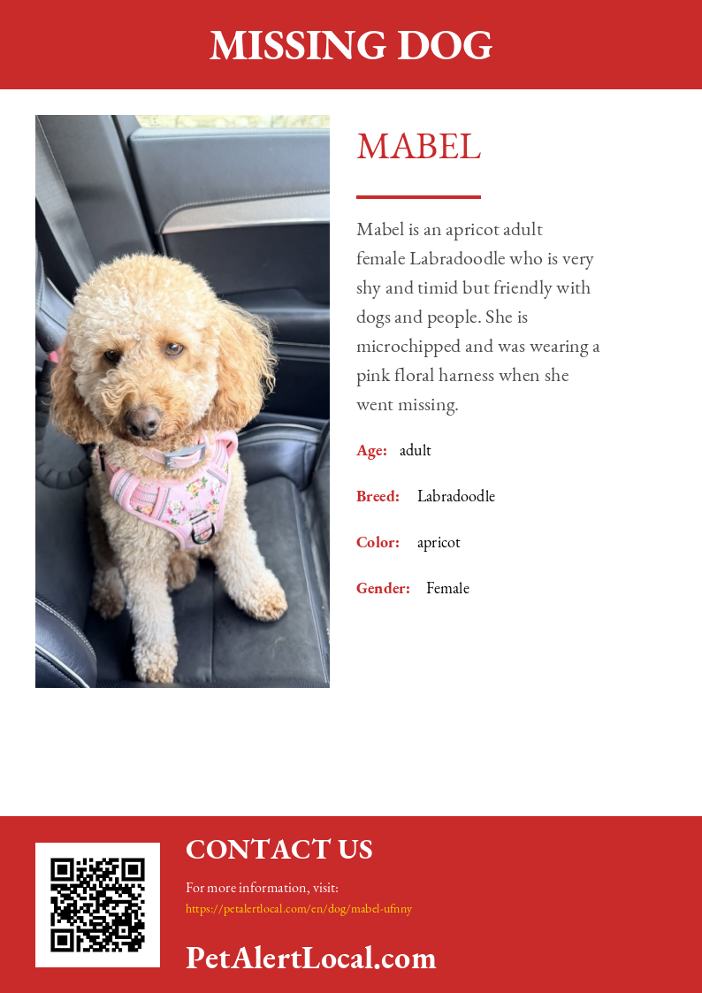 Poster for Mabel - Default