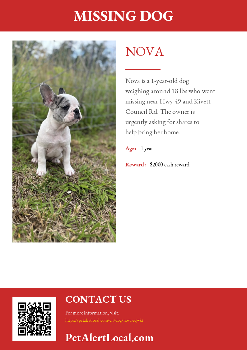 Poster for Nova - Default