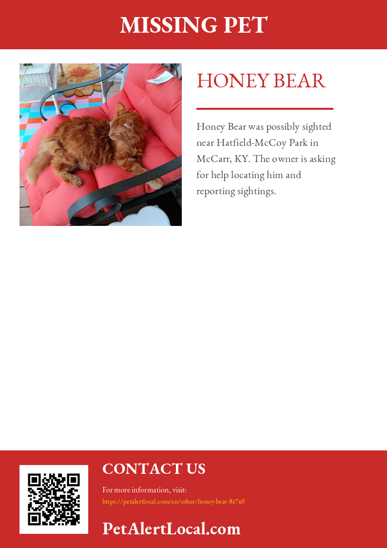 Poster for Honey Bear - Default