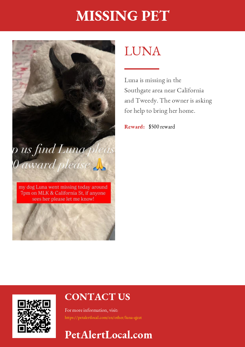 Poster for Luna - Default