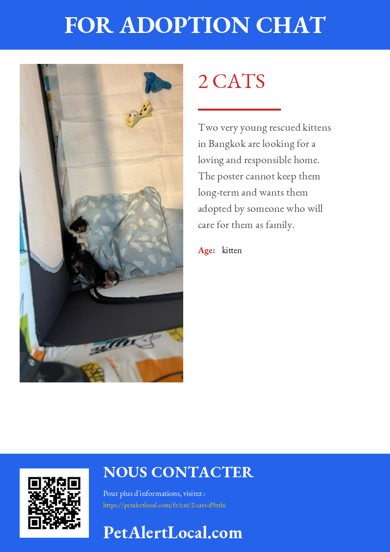 Poster preview for 2 Cats