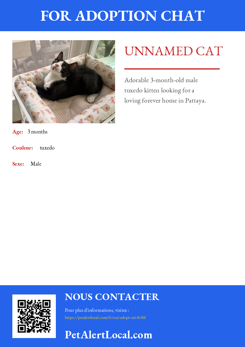 Poster preview for Unnamed Cat