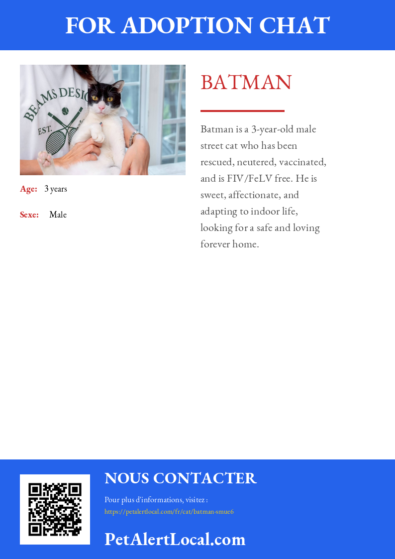 Poster preview for Batman