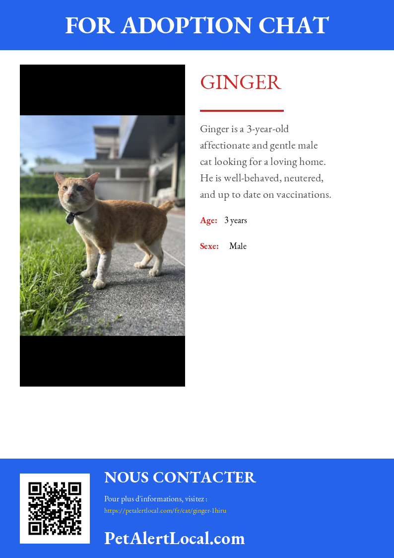 Affiche pour Ginger - Par défaut