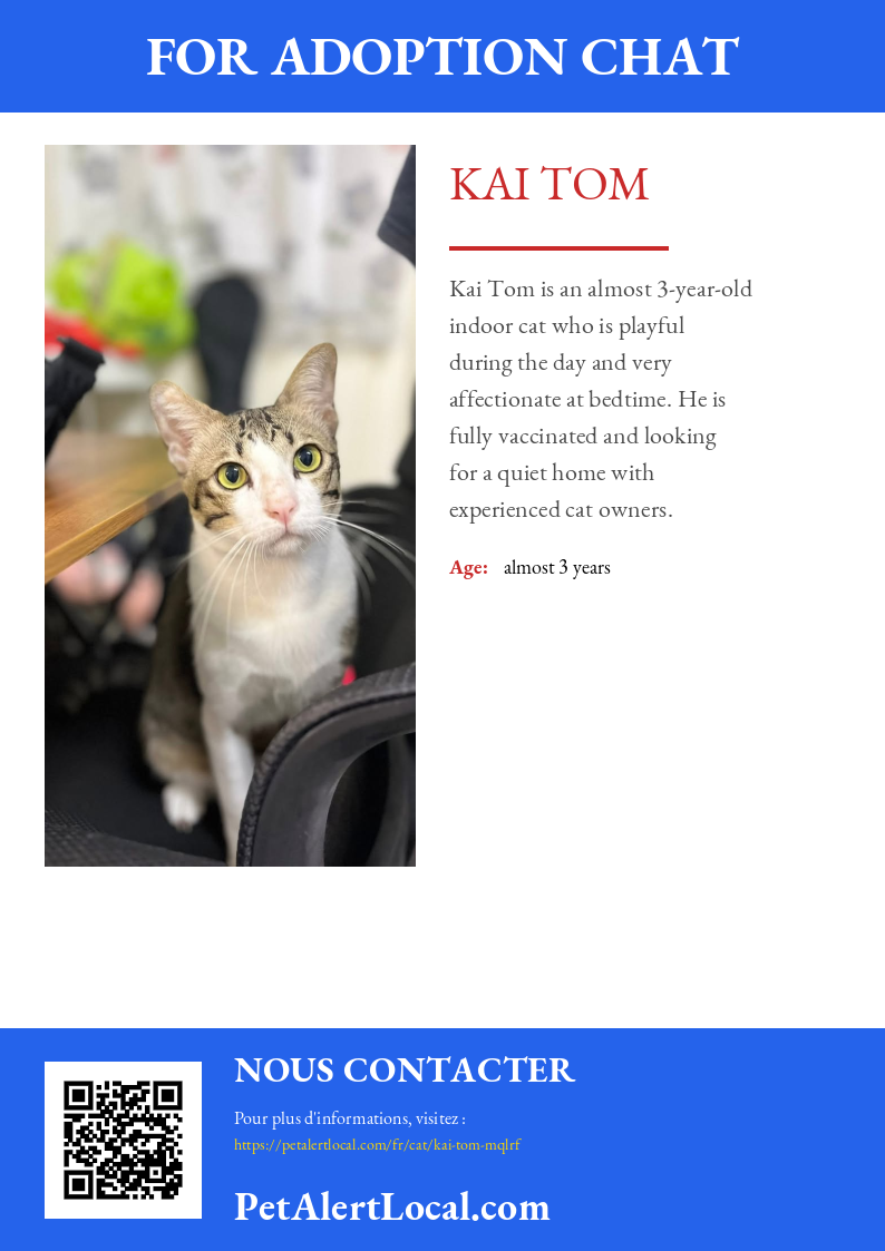 Affiche pour Kai Tom - Par défaut