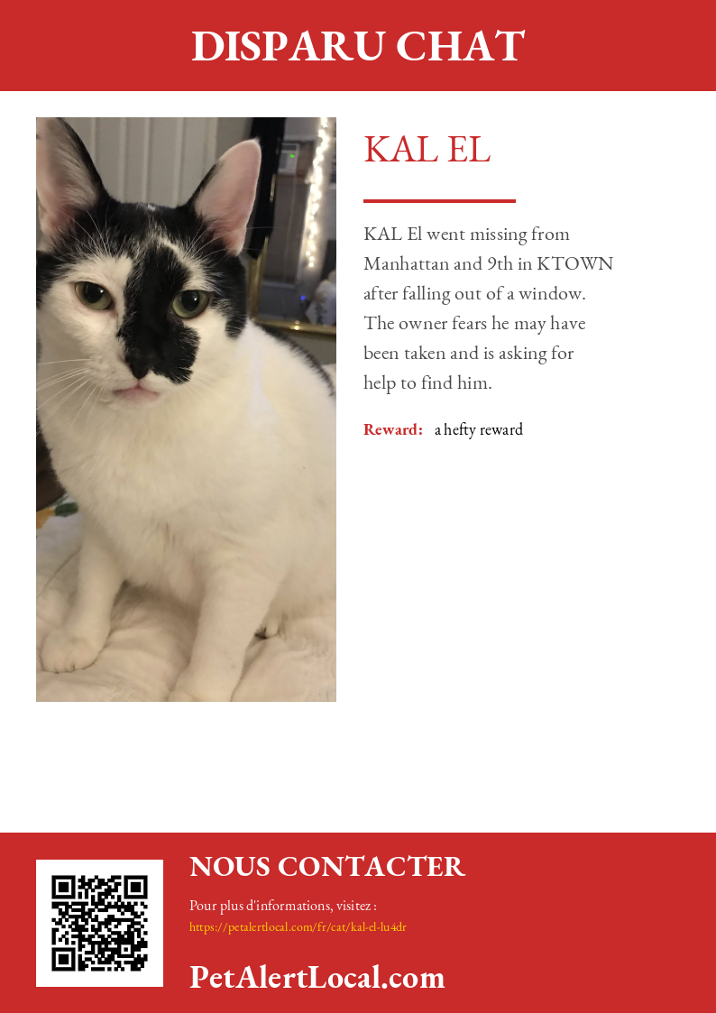 Affiche pour KAL El - Par défaut