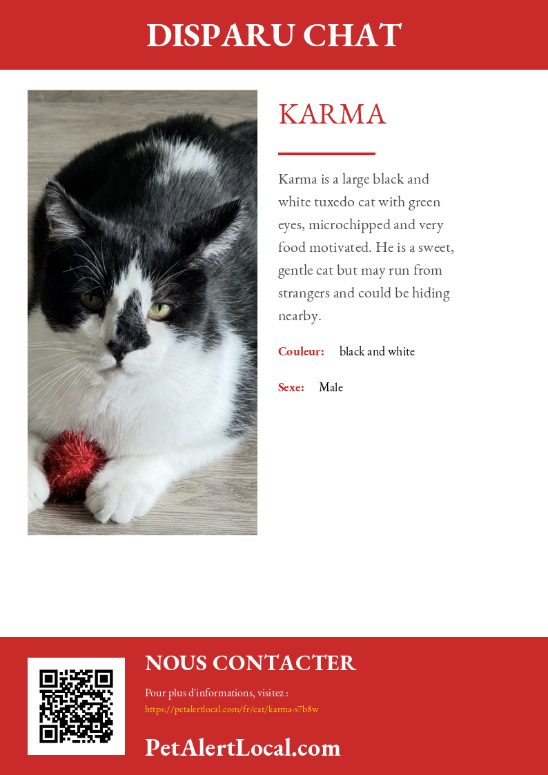 Affiche pour Karma - Par défaut