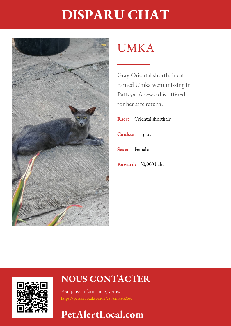 Poster preview for Umka