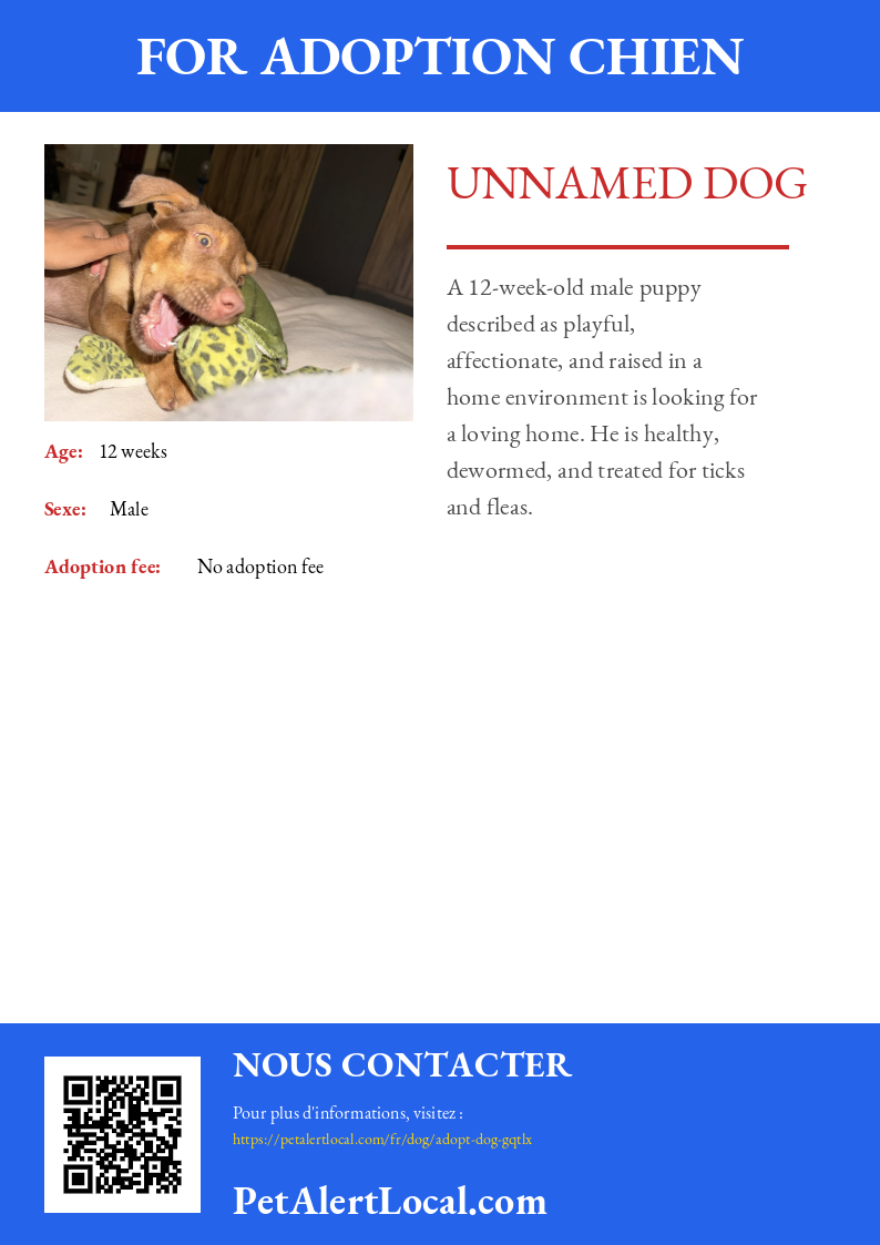 Poster preview for Unnamed Dog