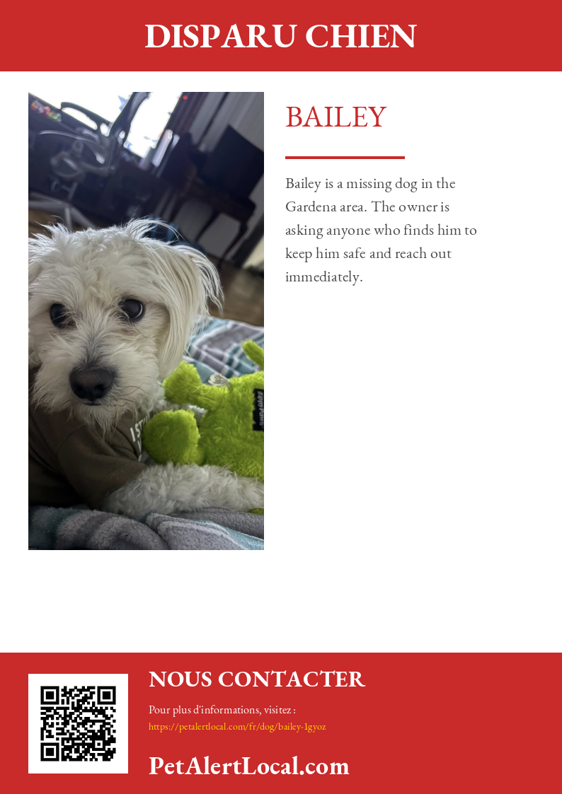 Affiche pour Bailey - Par défaut