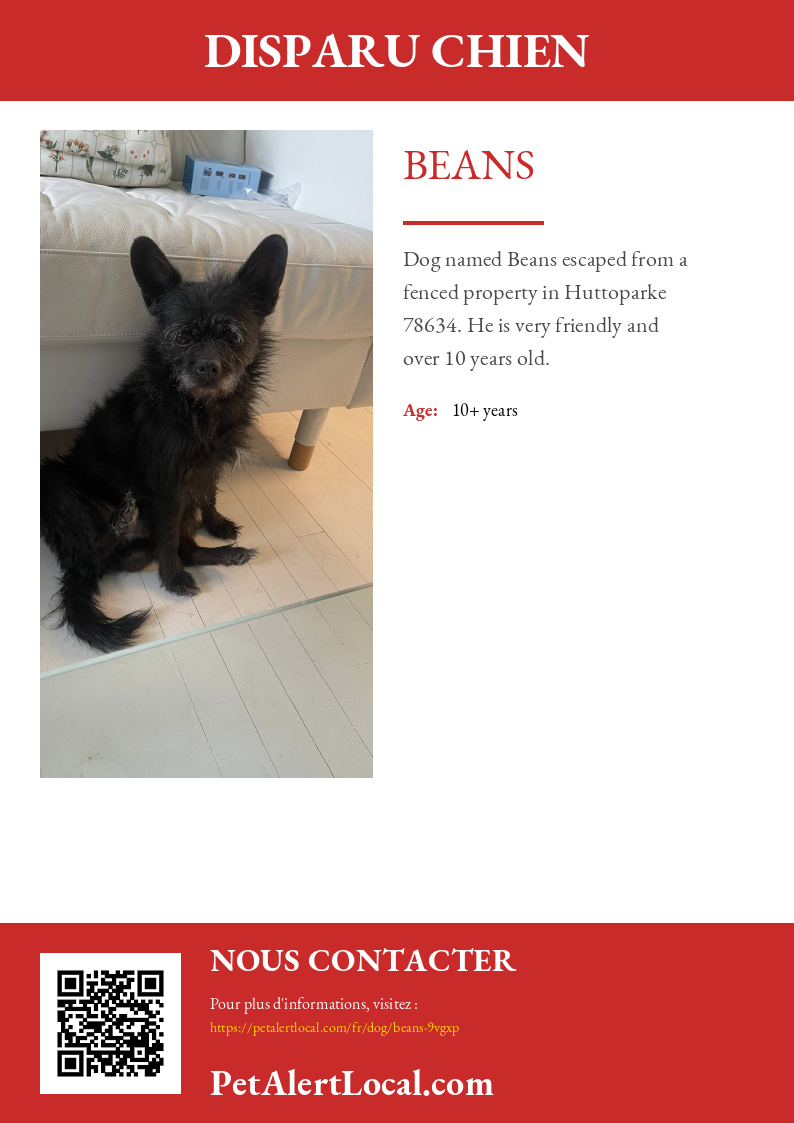 Poster preview for Beans