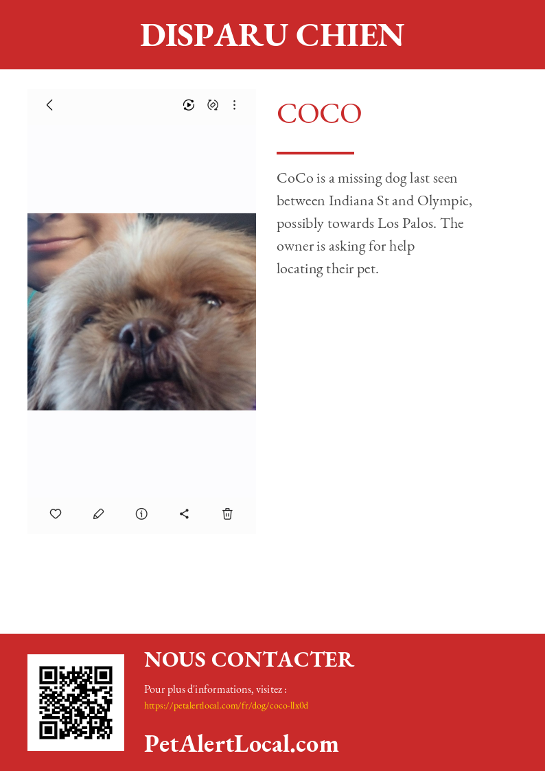 Affiche pour CoCo - Par défaut