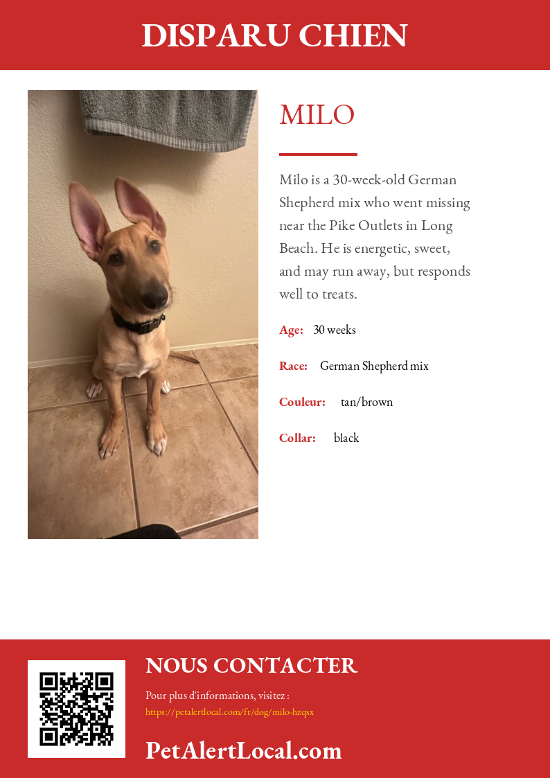 Affiche pour Milo - Par défaut