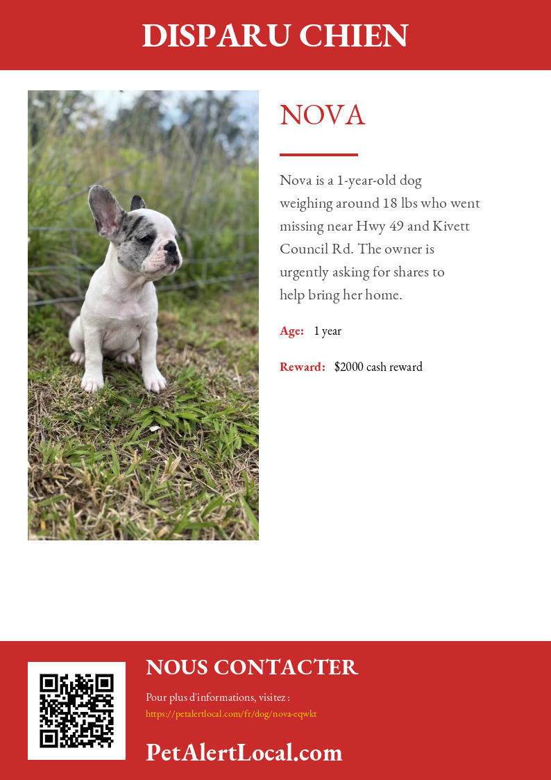 Poster preview for Nova