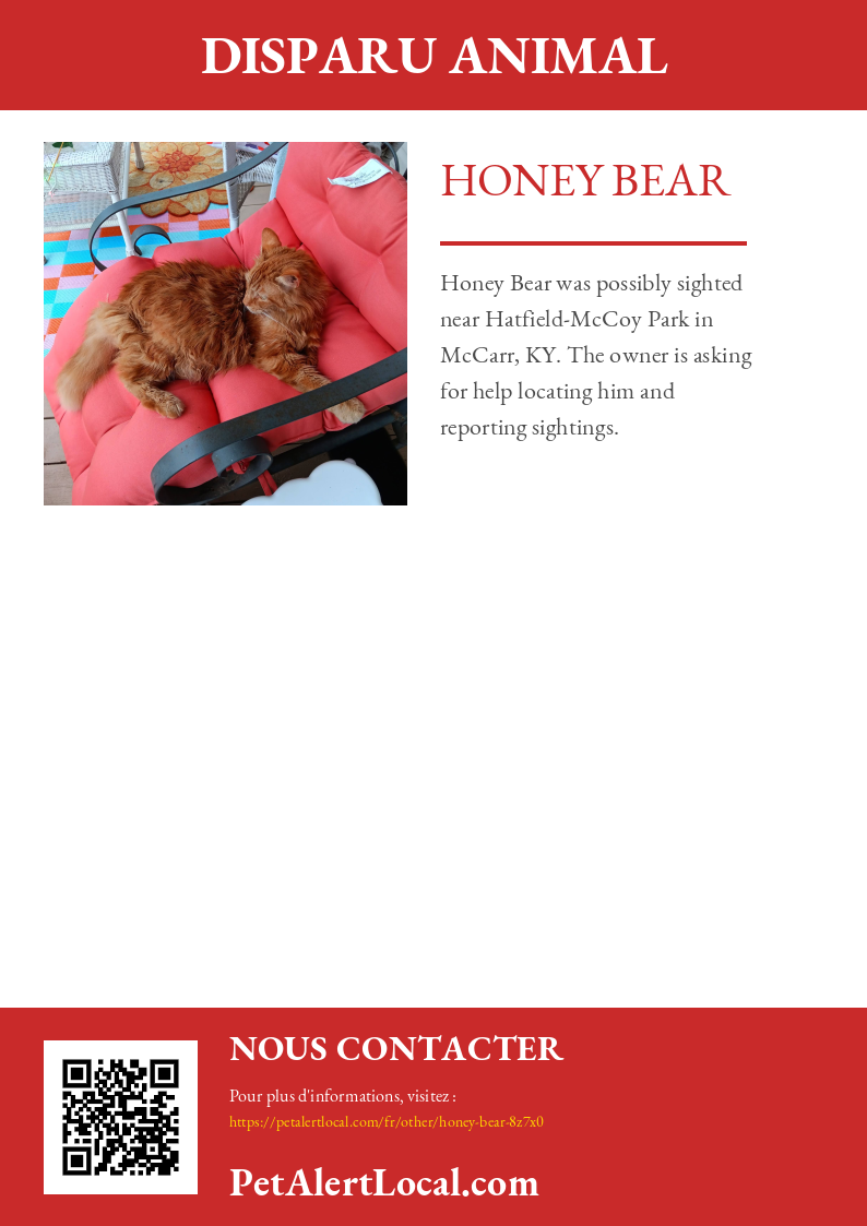 Affiche pour Honey Bear - Par défaut