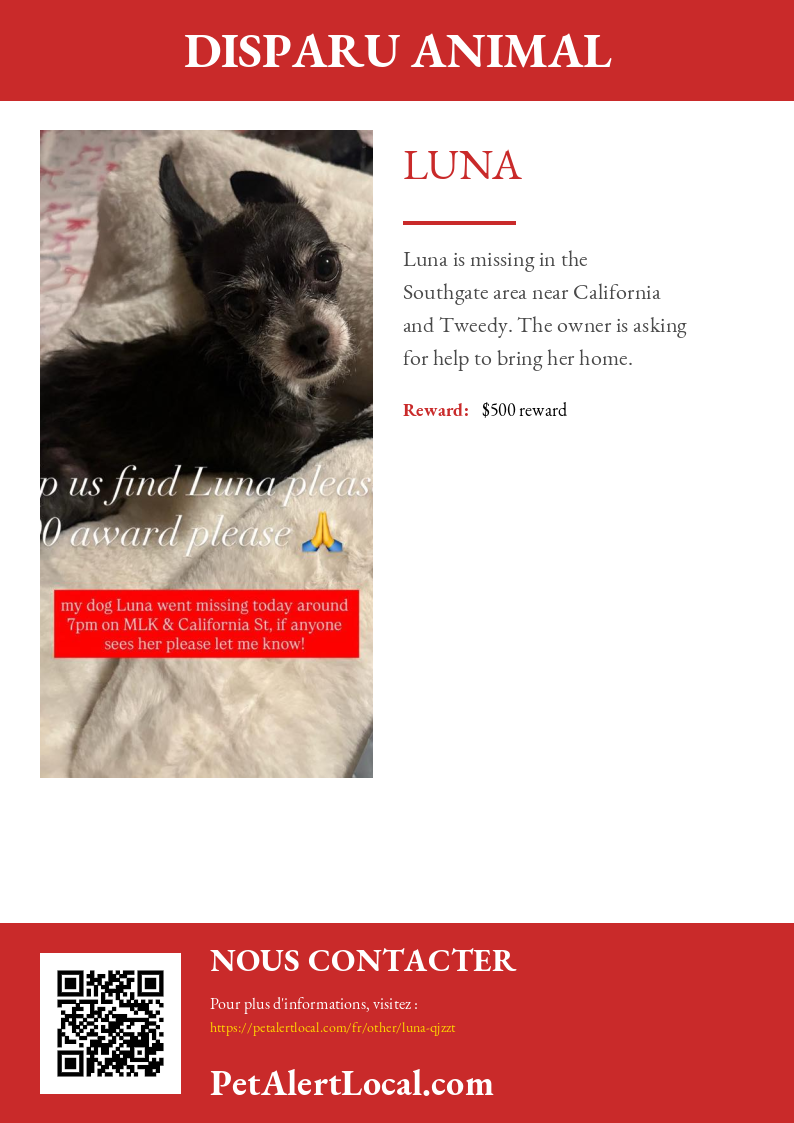 Poster preview for Luna