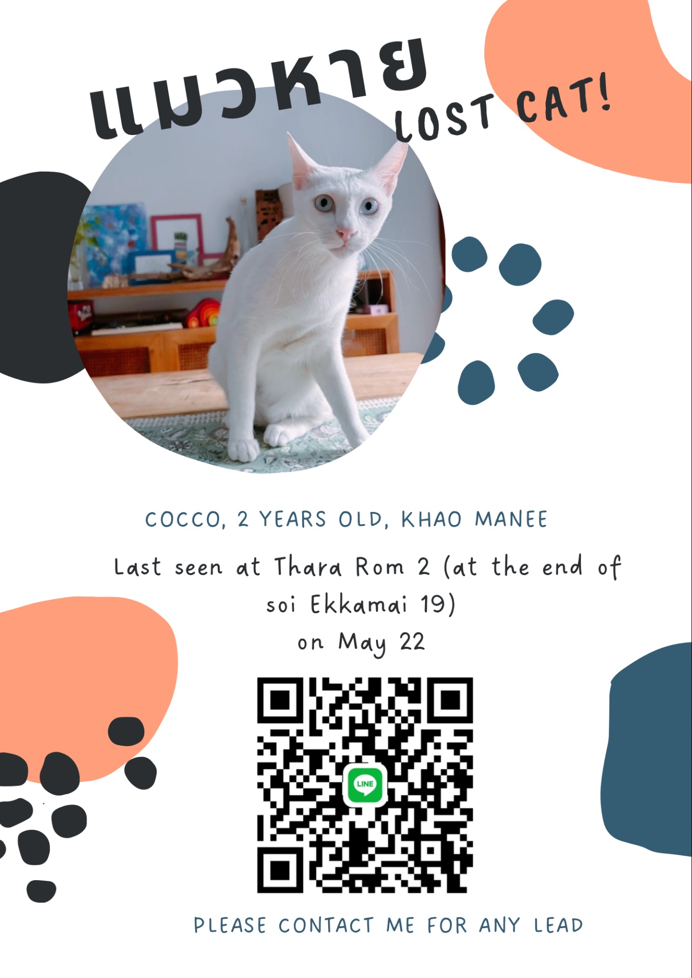 Cocco